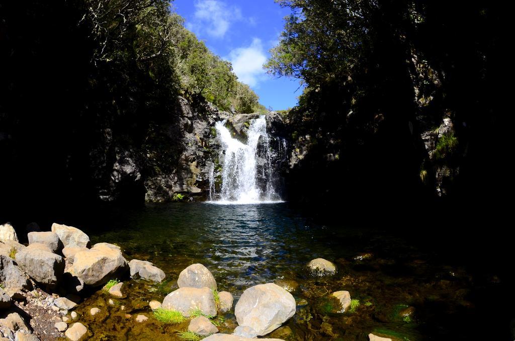 Vila Toca Appartamento Funchal  Esterno foto