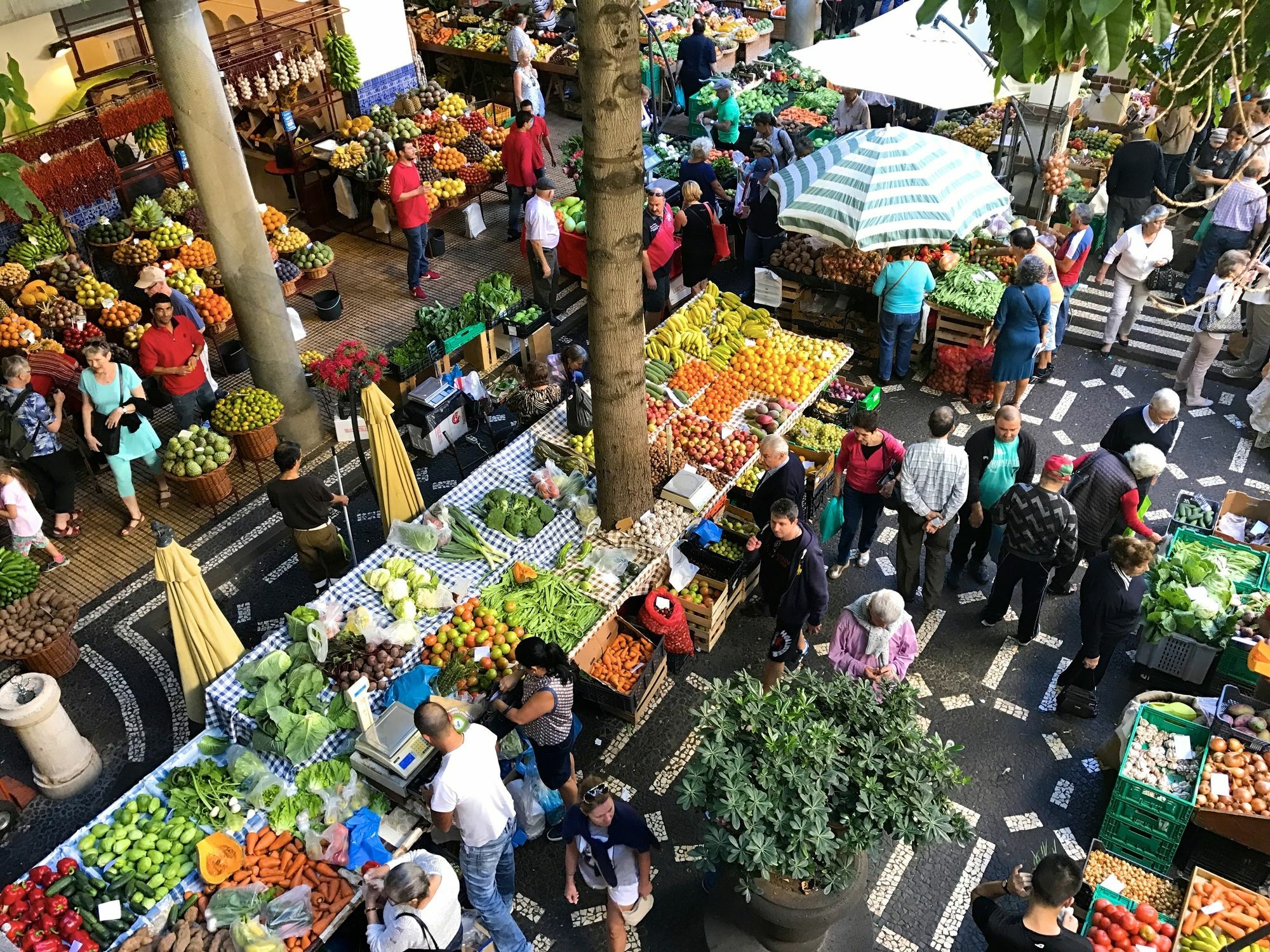 Vila Toca Appartamento Funchal  Esterno foto